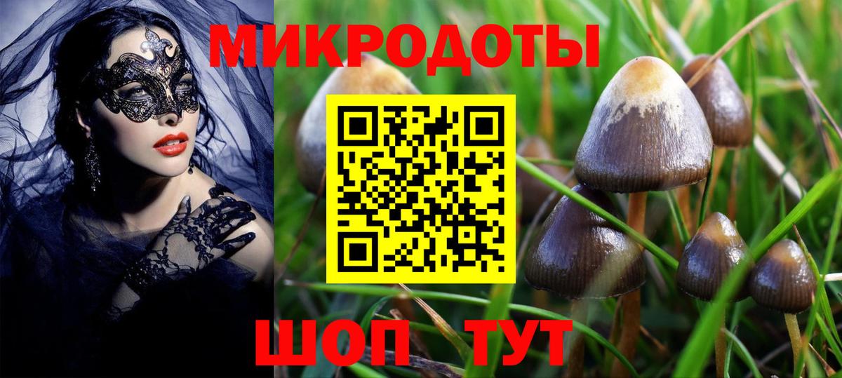 Муравленко  Псилоцибиновые грибы прущие грибы  Вход с VPN 