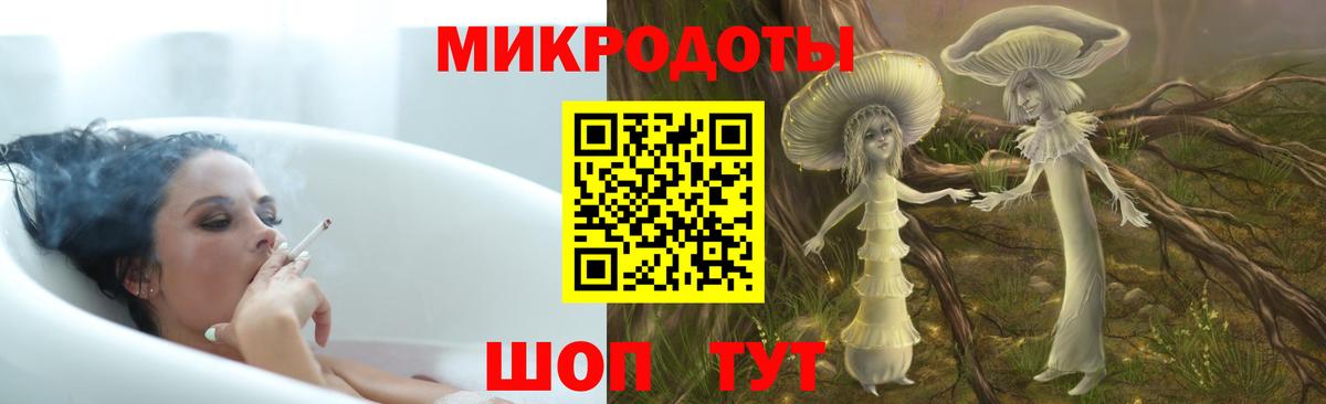 Галлюциногенные грибы Psilocybine cubensis Муравленко
